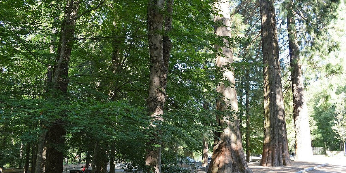 Montseny — vivir en una reserva de la biosfera, a solo 50 minutos de Barcelona