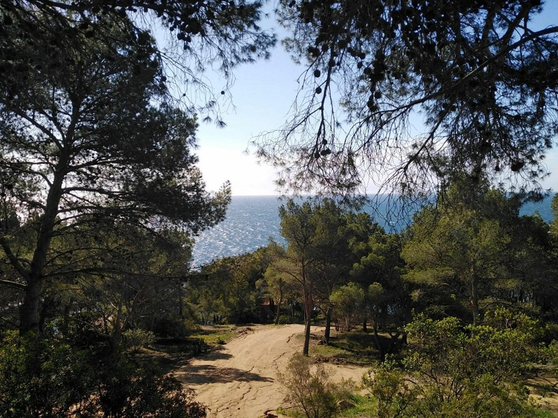 Plot of land in an exclusive location for the construction of a private house in Tamariu