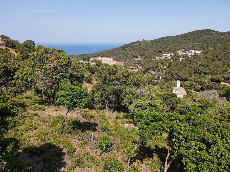 Two fantastic plots in a quiet residential area of Begur. Photo:  2