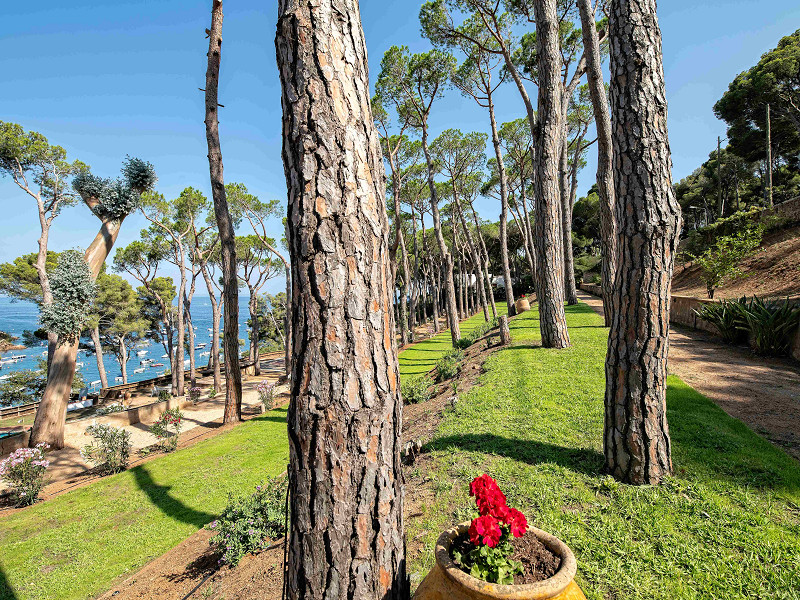 Luxury Villa with Stunning Sea Views in Tamariu, Costa Brava. Photo:  2