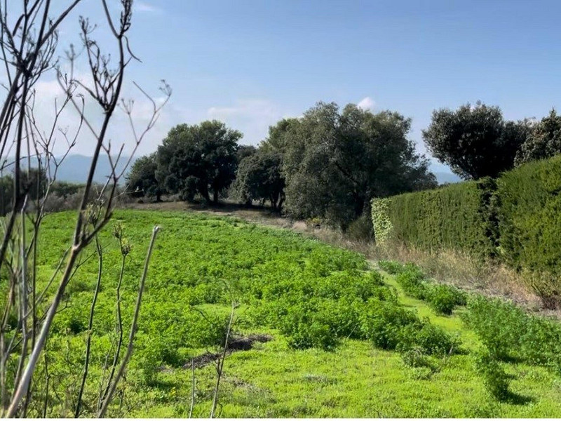 Fantastic Plot in Begur – Mas Rostei with Potential to Build a Poolside Home. Photo:  4