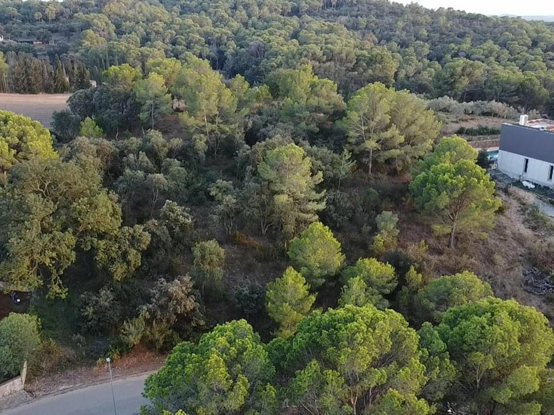 Fantastic Plot in Begur – Mas Rostei with Potential to Build a Poolside Home. Photo:  5