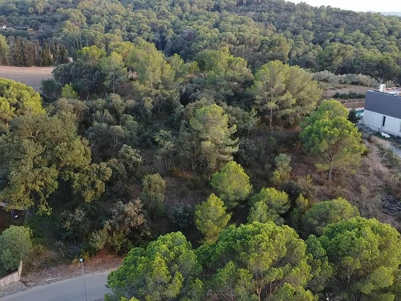 Fantastic Plot in Begur – Mas Rostei with Potential to Build a Poolside Home. Photo:  6