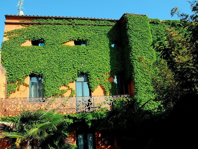 Unique house with historical charm in the center of Palfrugell, Costa Brava. Photo:  15