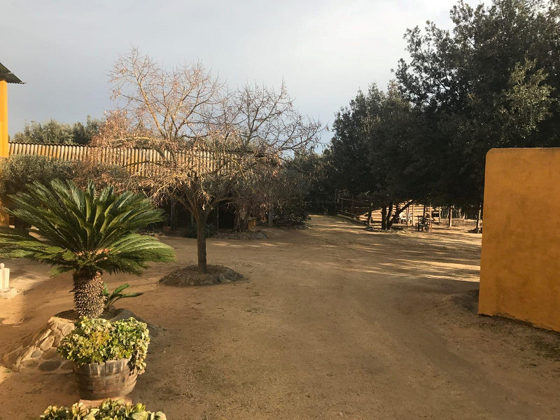 17th century Catalan masia in Palafrugell, Costa Brava. Photo:  18