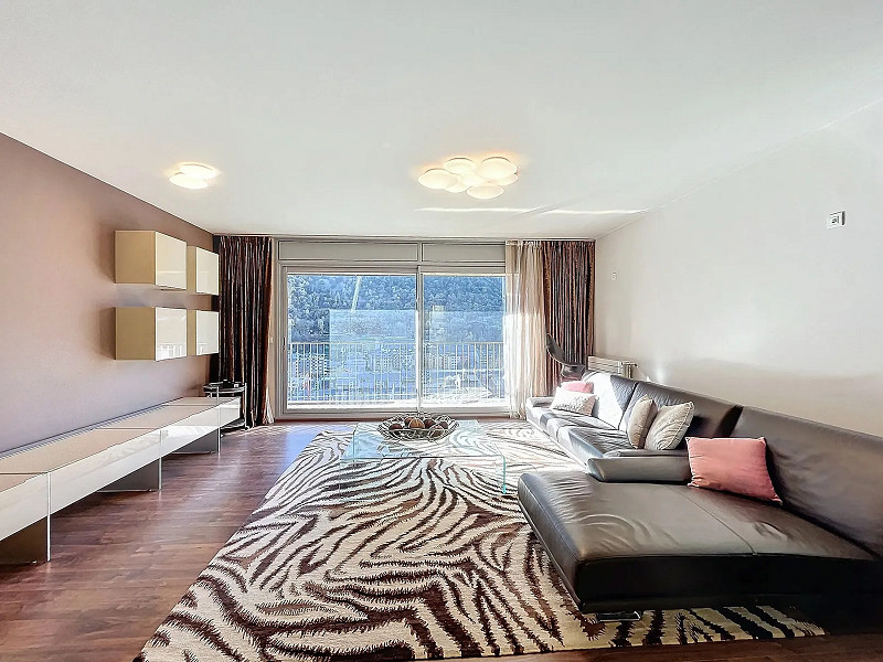 Modern Apartment in the Heart of Andorra la Vella. Photo:  2