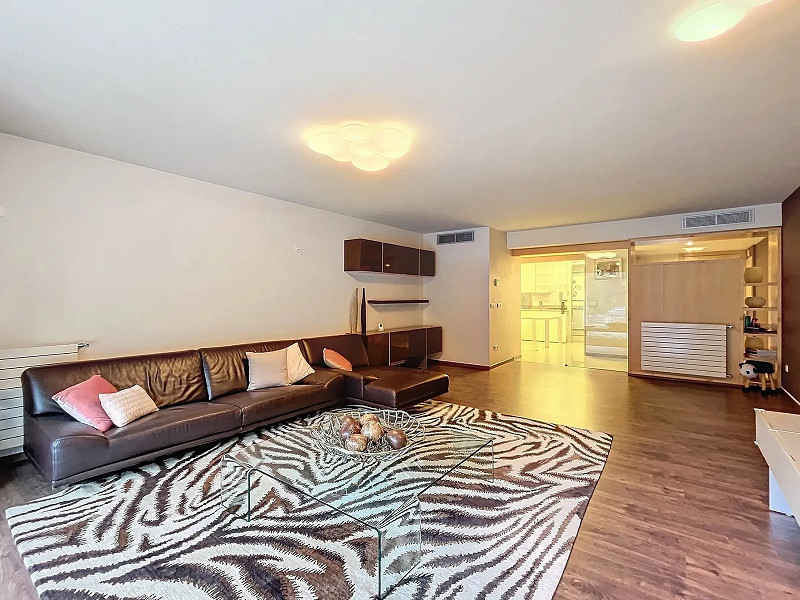 Modern Apartment in the Heart of Andorra la Vella. Photo:  3