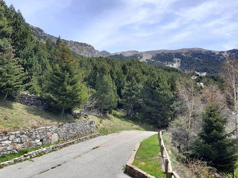 Exclusive Semi-Detached Mountain Home in El Forn de Canillo. Photo:  11