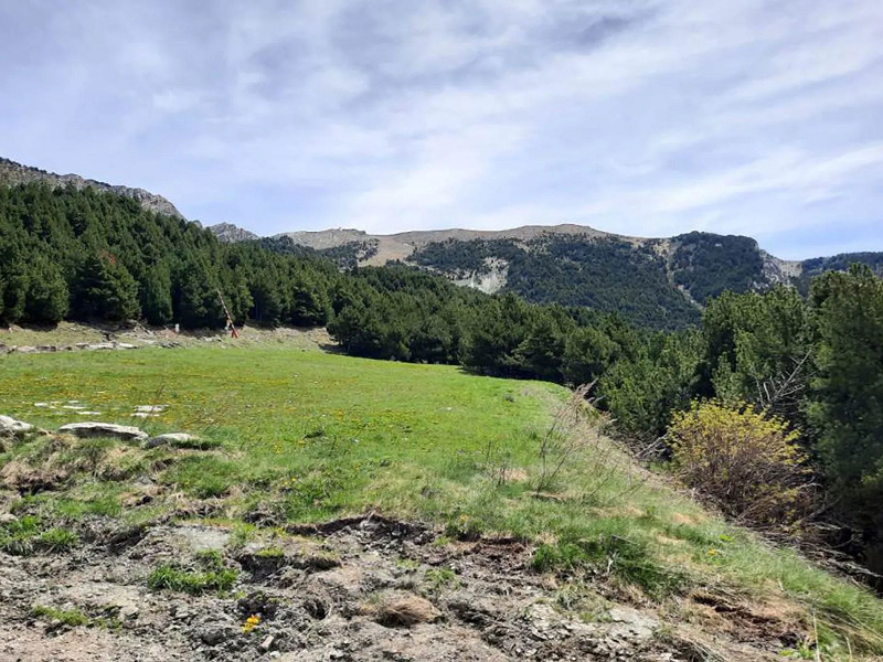 Exclusive Semi-Detached Mountain Home in El Forn de Canillo. Photo:  13