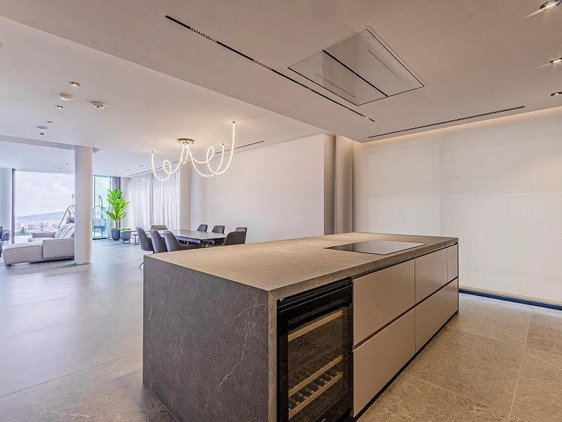 Newly Built Luxury Villa with Panoramic Views in Sarrià-Sant Gervasi. Photo:  7