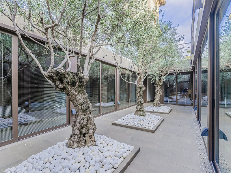 Restored Heritage Mansion With Cutting-Edge Tech in Prime Pedralbes. Photo:  8