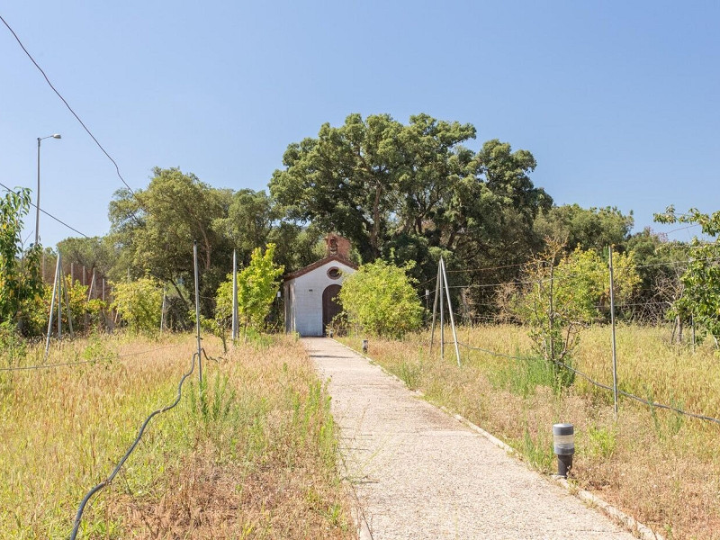  Exceptional Estate in Natural Surroundings — Dosrius, Barcelona. Photo:  40
