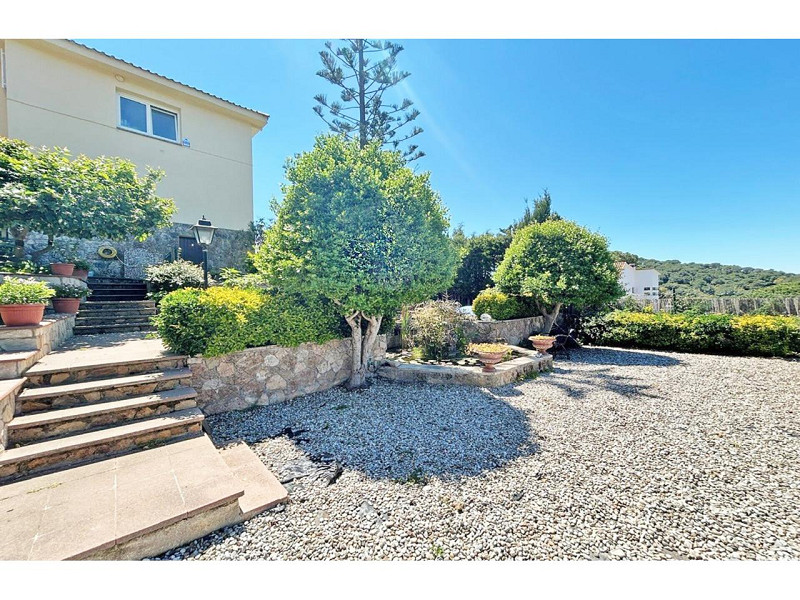 Magnificent House with Garden and Pool in Cala Canyelles. Photo:  16
