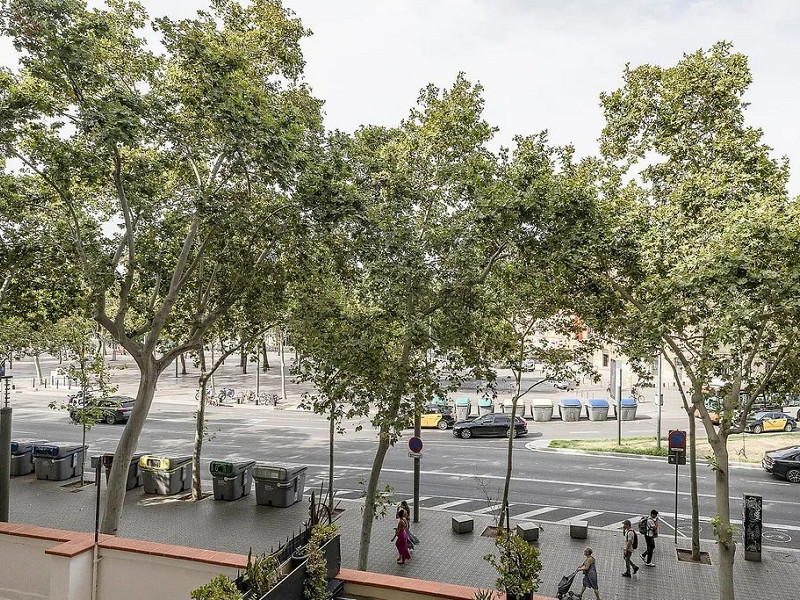 Renovated Apartment Near Barcelona Port. Photo:  9