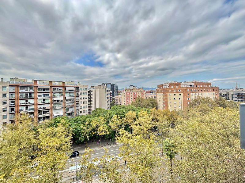 Elegant Top-Floor Apartment in Diagonal Mar, Barcelona. Photo:  24