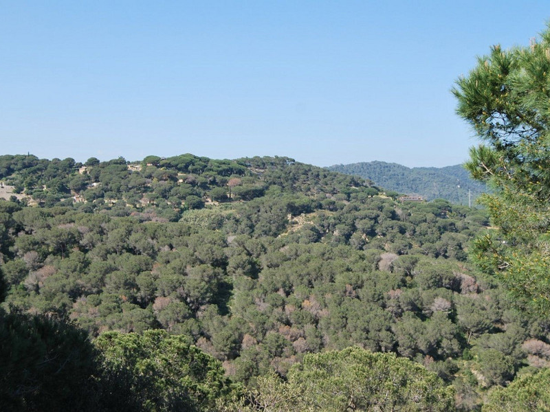 Дизайнерская вилла с видом на море в Сант-Андреу-де-Льяванерас, Барселона. Фото:  24
