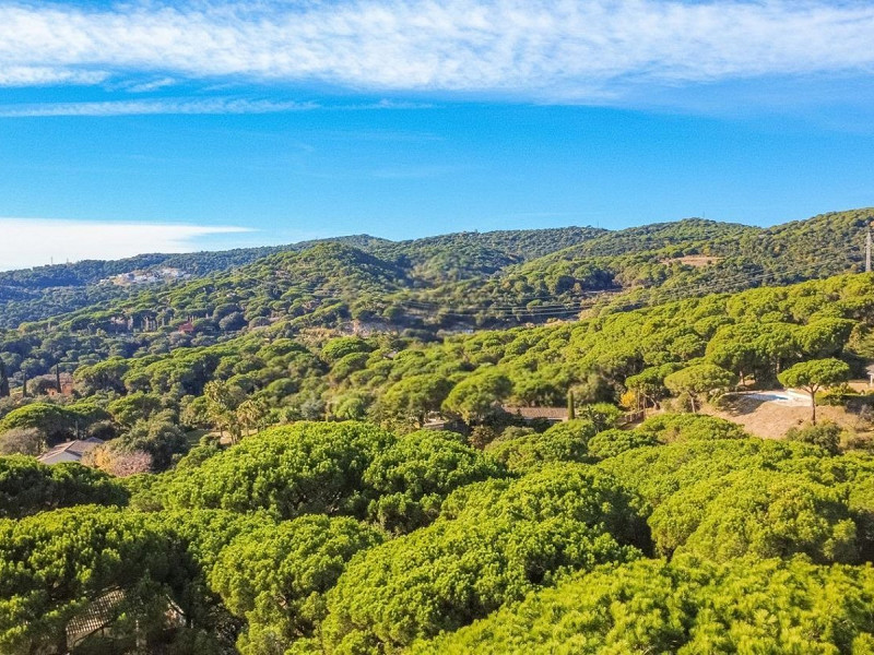 Single-Storey Mediterranean Villa with Sea Views in Sant Andreu de Llavaneres, Barcelona. Photo:  13