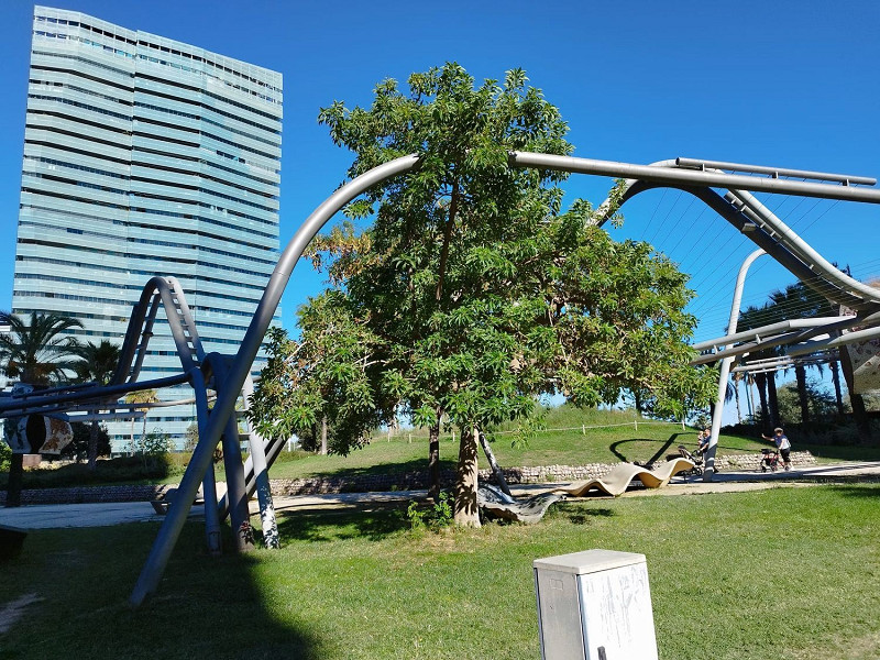 Квартира с бесконечными видами в Барселоне: Оазис между небом и морем. Фото:  33