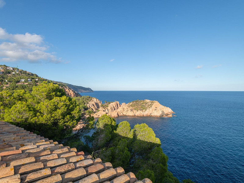 Эксклюзивная вилла на первой линии моря в Тамариу, Коста-Брава. Фото:  37