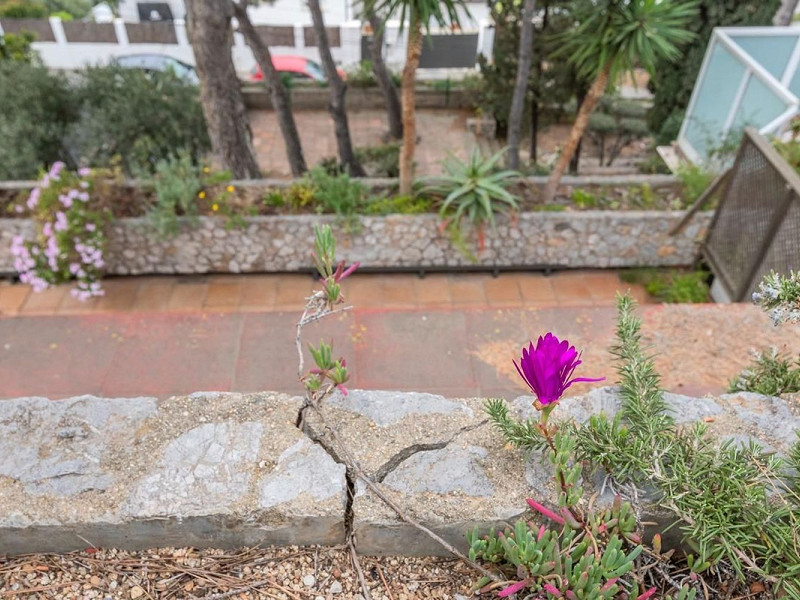 Exclusive villa with sea views and pool in Bellamar, Castelldefels. Photo:  17