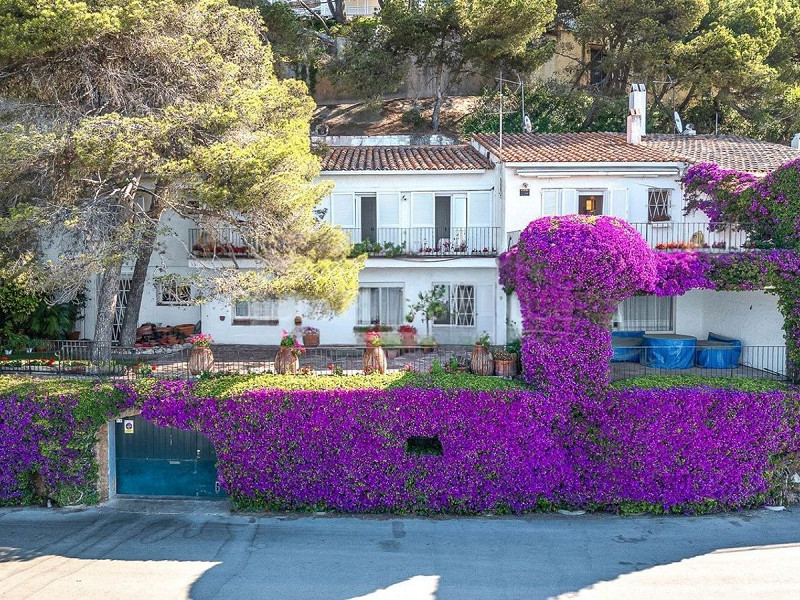 House with Panoramic Sea Views in L’Estartit, Costa Brava. Photo:  20