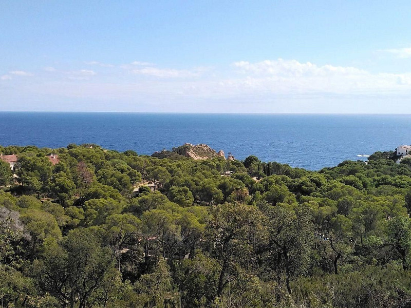 New-Build Detached Villa with Sea Views in Tamariu, Costa Brava. Photo:  4