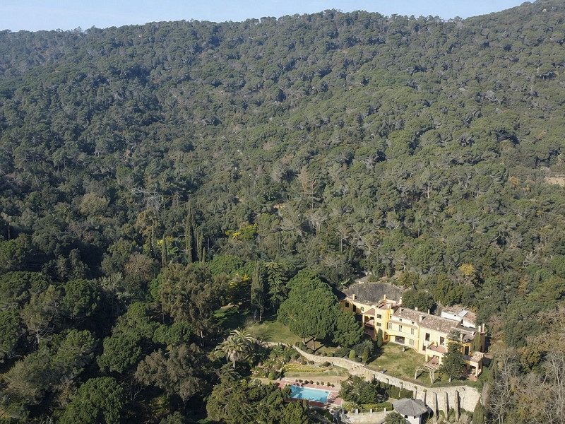 Эксклюзивная вилла для летней аренды в Сант-Андреу-де-Льяванерес, Коста-дель-Маресме. Фото:  2