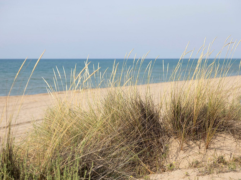 Sea View Apartment with Terrace in Gava Mar – Beachfront. Photo:  15