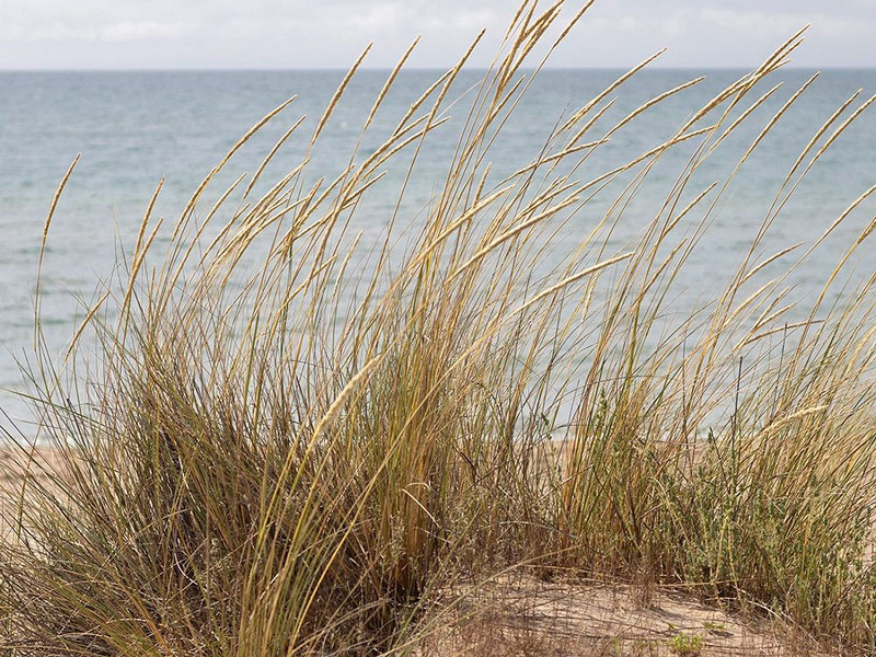 Апартаменты с видом на море и террасой в Гава-Мар – первая линия. Фото:  18