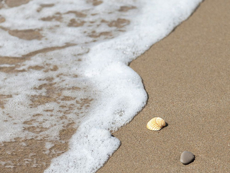 Апартаменты с видом на море и террасой в Гава-Мар – первая линия. Фото:  19