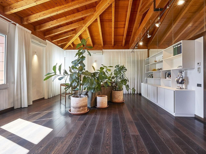 Эксклюзивный дом с садом и бассейном в Кан-Трабаль, рядом с гольф-клубом Сант-Кугат. Фото:  24