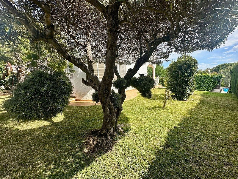 Светлая и уютная вилла в Эльс-Массос-де-Кома-Руга. Фото:  13