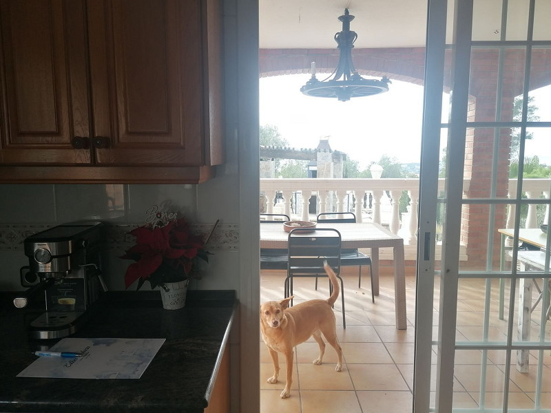 Просторный дом с видом на море в Мас-Астор, Эль-Вендрель. Фото:  18