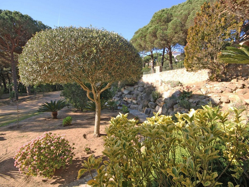 Дом с видом на море между Lloret de Mar и Tossa de Mar, Коста-Брава. Фото:  17