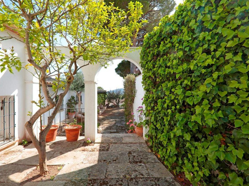 Cozy villa with panoramic sea views in Llafranc on the Costa Brava. Photo:  5