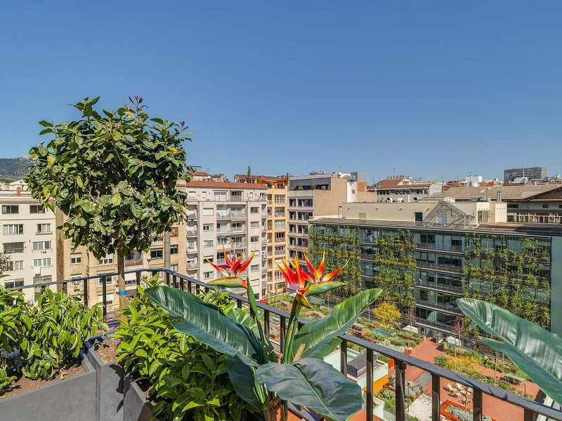 Отремонтированная квартира с террасой в Sant Gervasi-Galvany, Барселона. Фото:  42