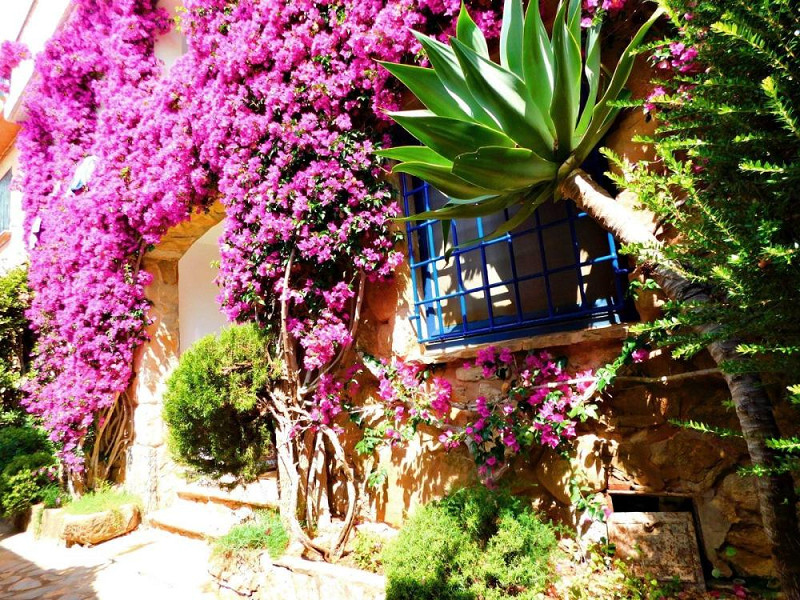Очаровательный домик в средиземноморском стиле в Бегуре. Фото:  16